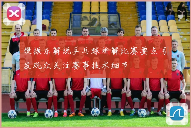 樊振东解说乒乓球讲解比赛要点 引发观众关注赛事技术细节