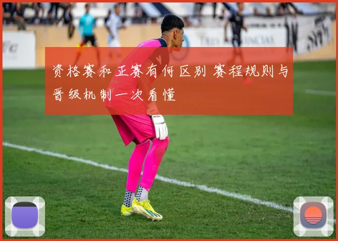 资格赛和正赛有何区别 赛程规则与晋级机制一次看懂