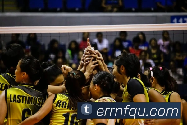 开云kaiyun网页版服务体系